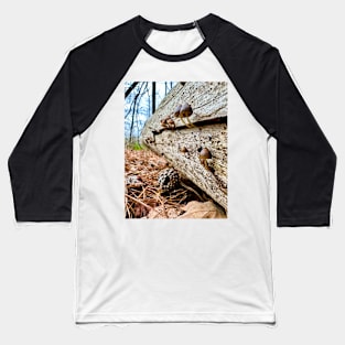 Mushrooms on log Baseball T-Shirt